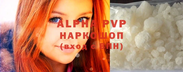 индика Краснослободск