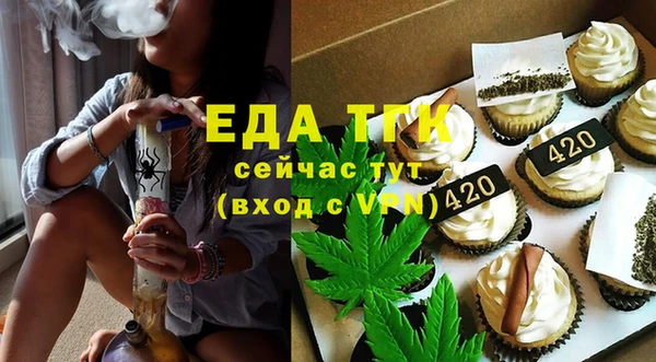индика Краснослободск