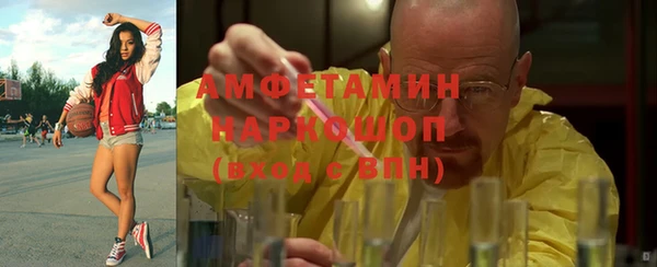 индика Краснослободск