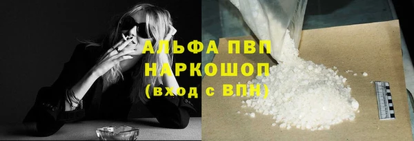 индика Краснослободск