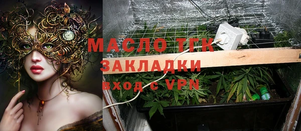 индика Краснослободск