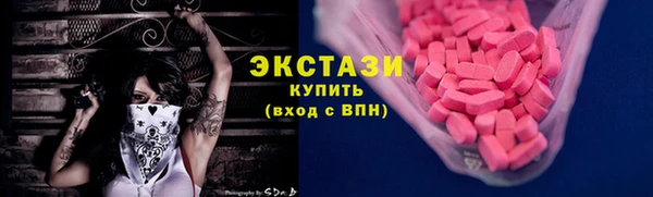 индика Краснослободск