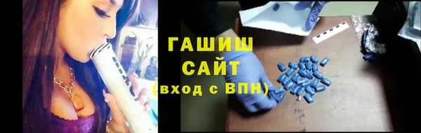 индика Краснослободск