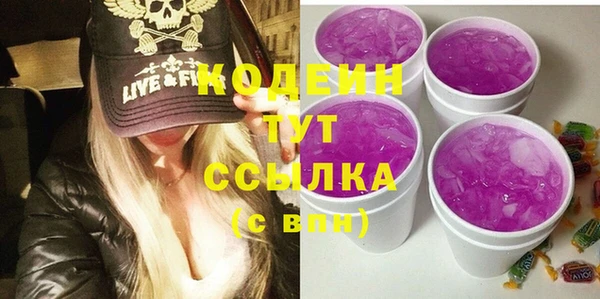 индика Краснослободск