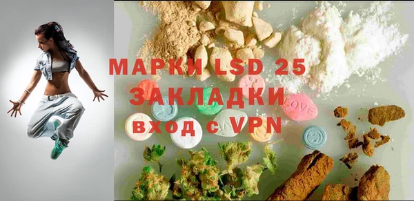 индика Краснослободск