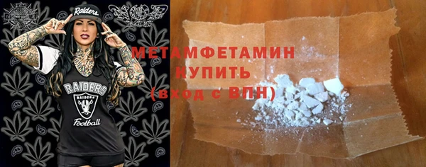 индика Краснослободск