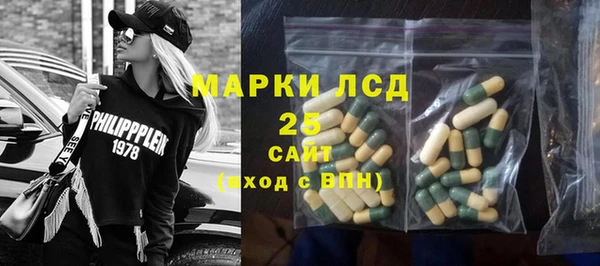 индика Краснослободск