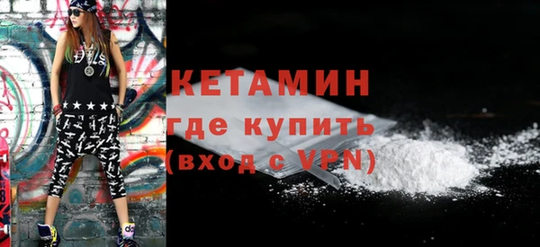 индика Краснослободск
